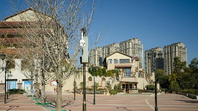 昆明買3.5米的監控桿要多少錢